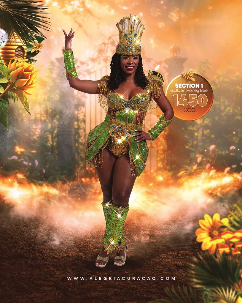 Golden Honey Bee costume