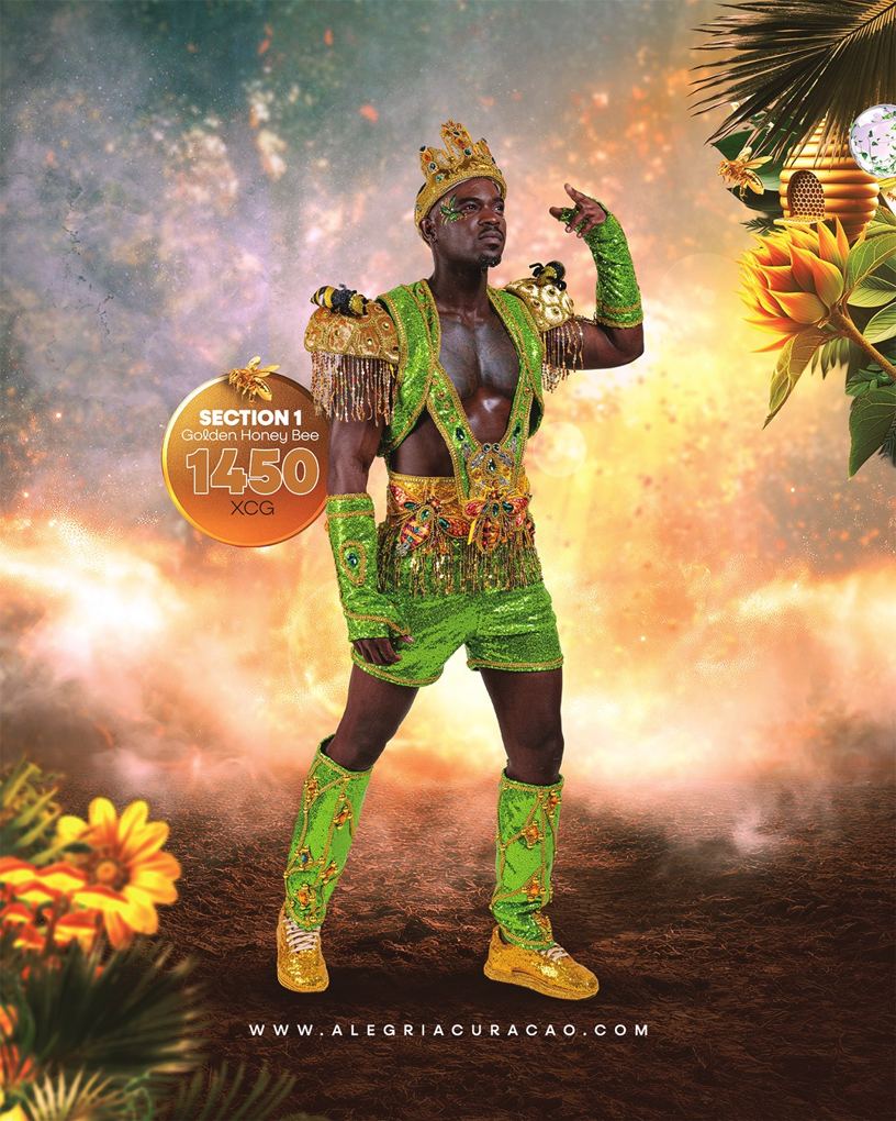 Golden Honey Bee costume