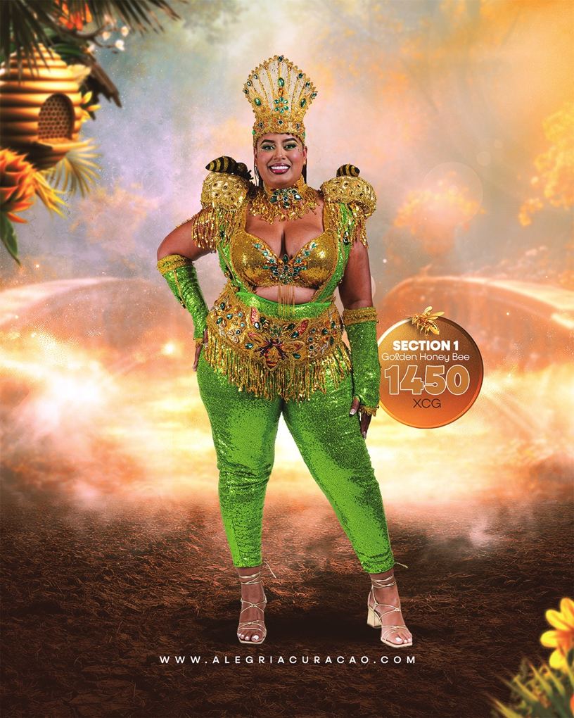Golden Honey Bee costume, photo 3