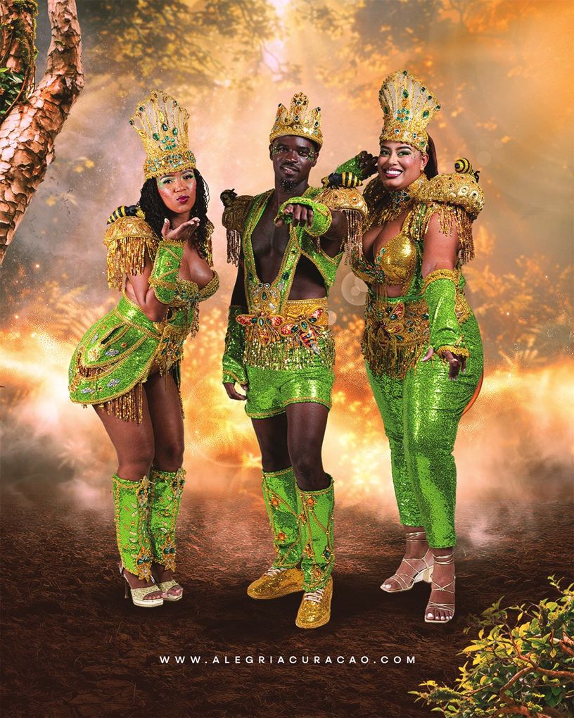 Golden Honey Bee costume, photo 4