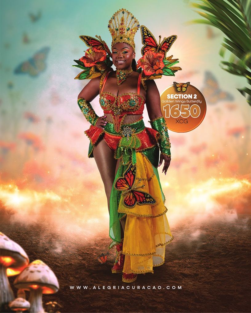 Golden Wings Butterfly costume