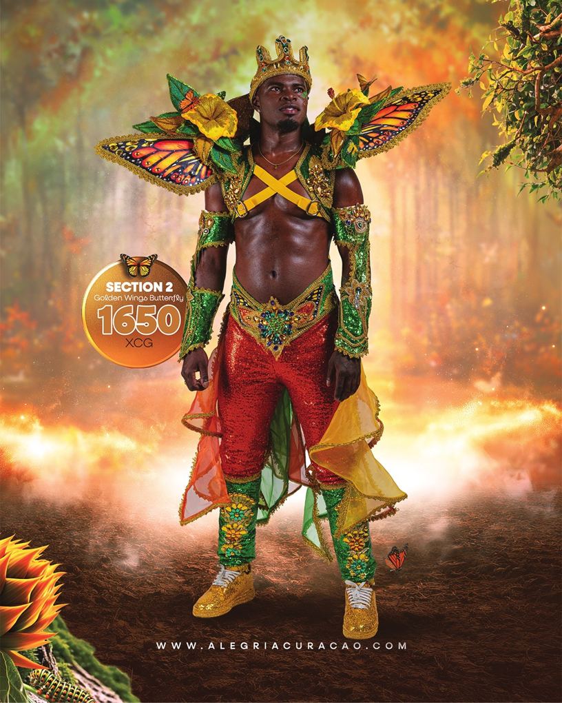 Golden Wings Butterfly costume, photo 3
