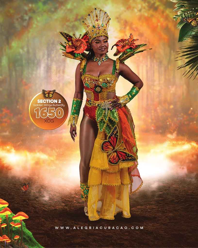 Golden Wings Butterfly costume, photo 4